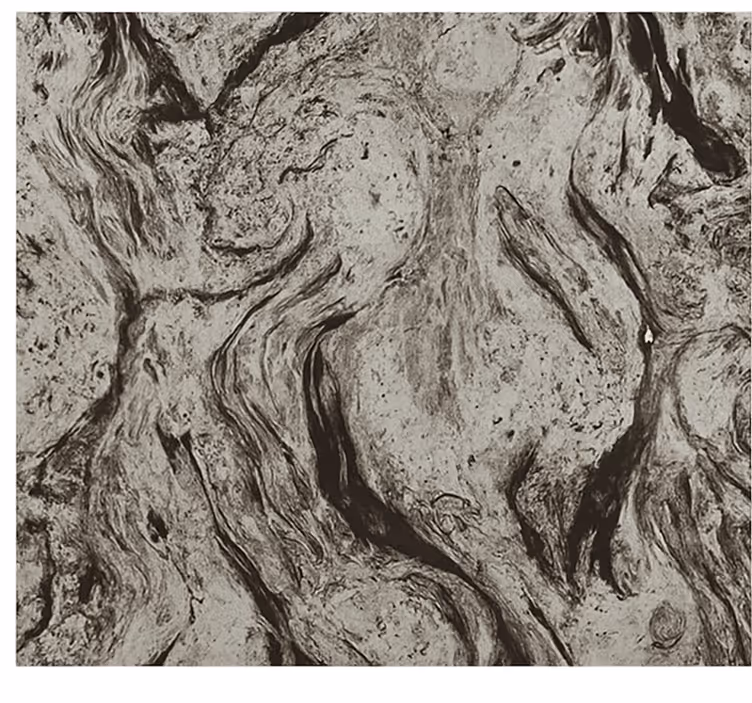 Cortina roller baño textura de mármol oscuro - TenVinilo