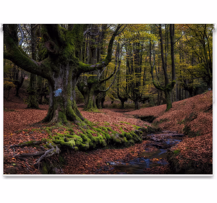 Cortina roller árboles bosque mágico de otoño - TenVinilo