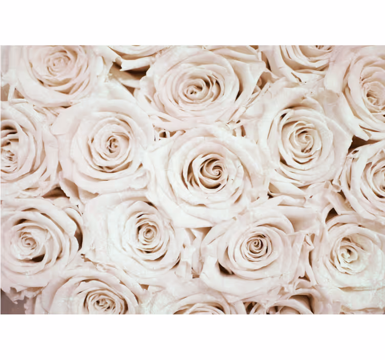 Cortina roller blanca diseño de flores rosas elegantes - TenVinilo