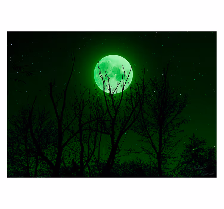 Cortina roller negra luna verde - TenVinilo