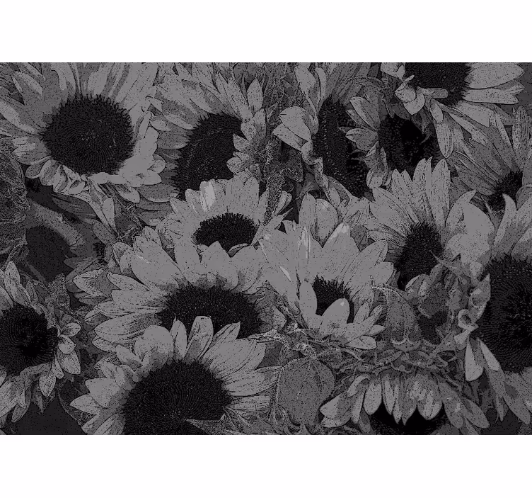 Cortina roller living comedor girasol blanco y negro - TenVinilo