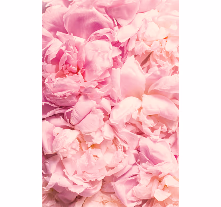 Cortina roller habitación flores peonía rosa realista - TenVinilo