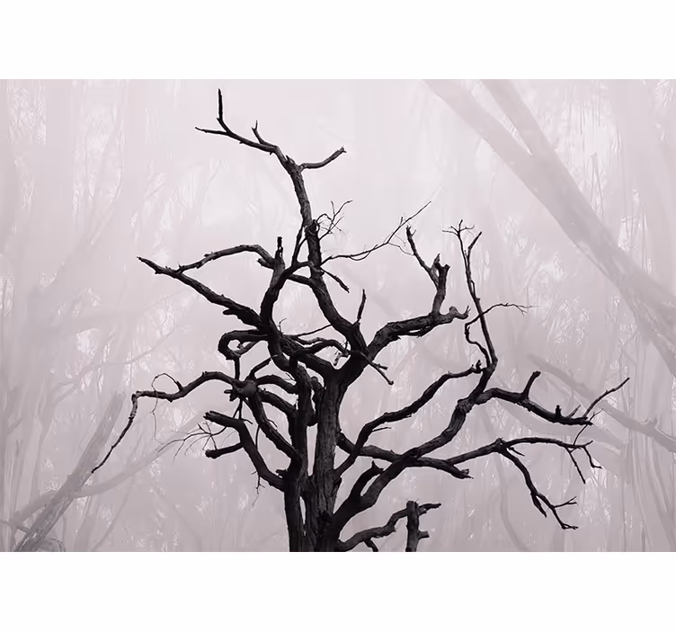 Cortina roller habitación ramas de bosque en niebla - TenVinilo