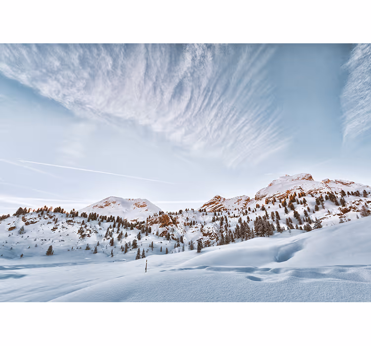 Cortina roller blanca montañas con nieve - TenVinilo