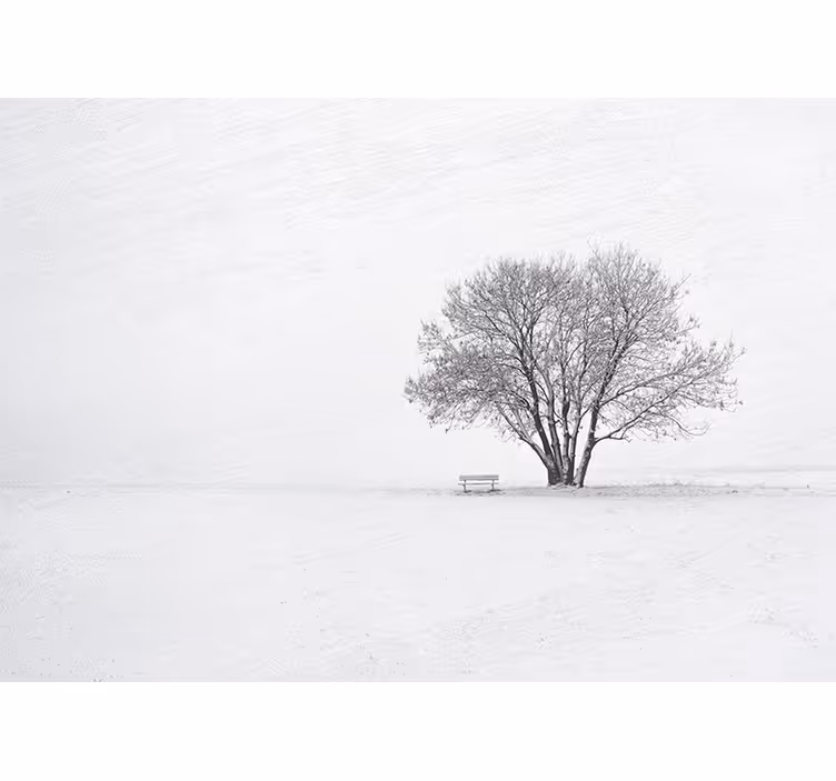 Cortina roller blanca diseño de árbol nevado escandinavo - TenVinilo