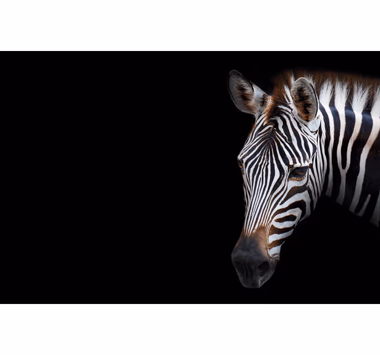 Cortina roller negra zebra imagen - TenVinilo