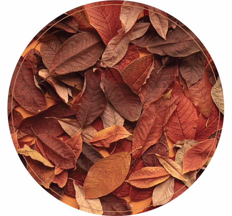 Cortina roller habitación suelo oscuro de otoño - TenVinilo