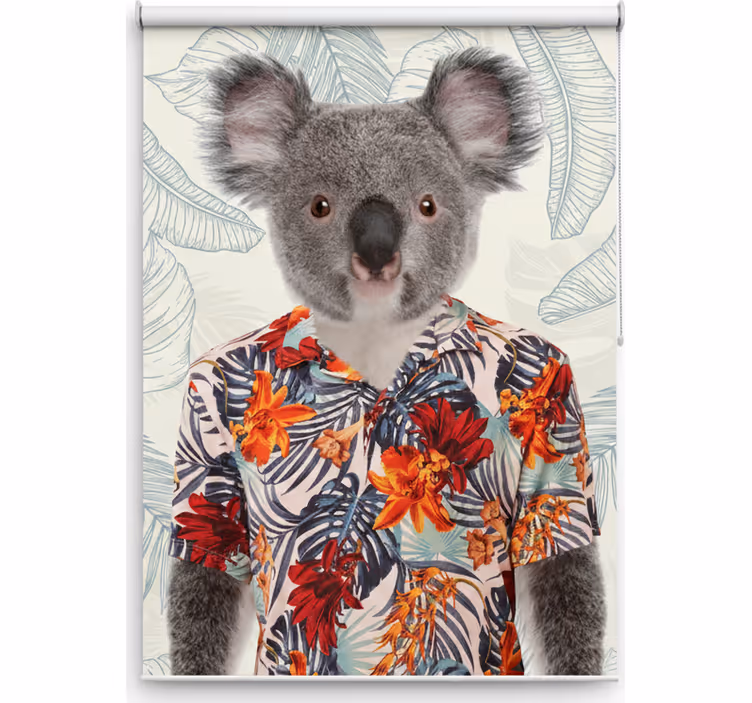 Cortina roller juvenil koala elegante - TenVinilo