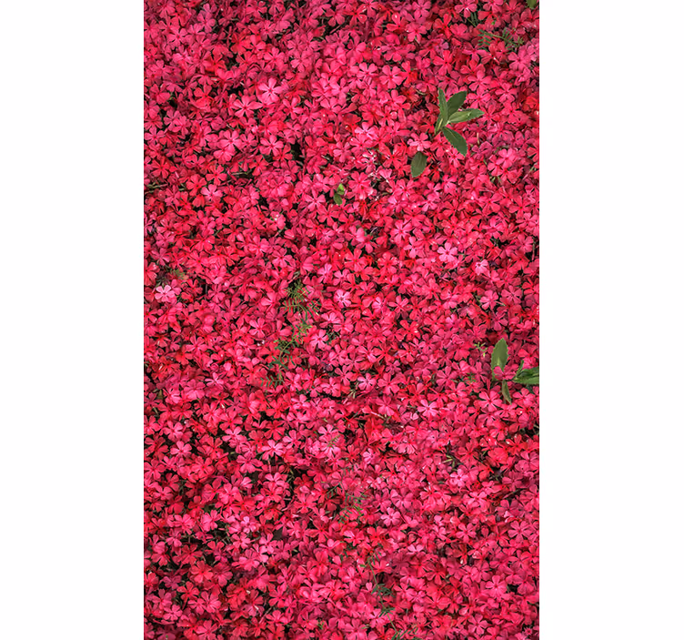 Cortina roller flores abundancia vibrante - TenVinilo