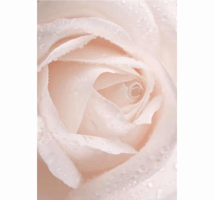 Cortina roller floral delicado pétalo de rosa - TenVinilo
