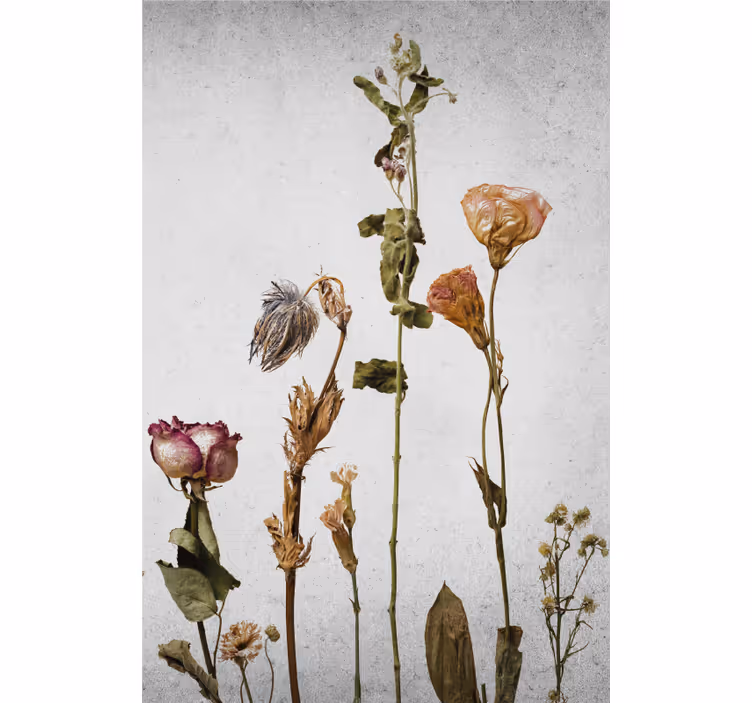 Cortina roller flores arreglo de flores secas - TenVinilo