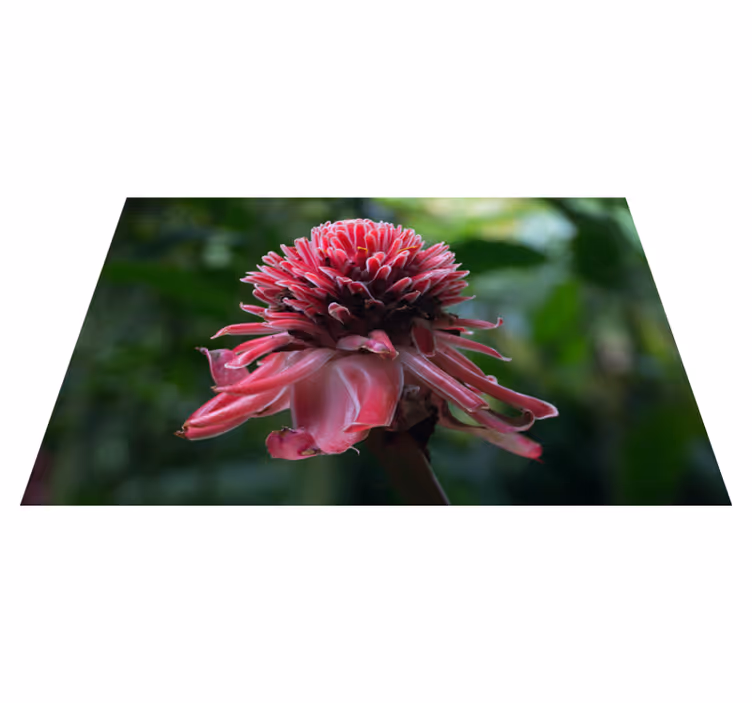 Individual para mesa original arreglo floral tropical - TenVinilo