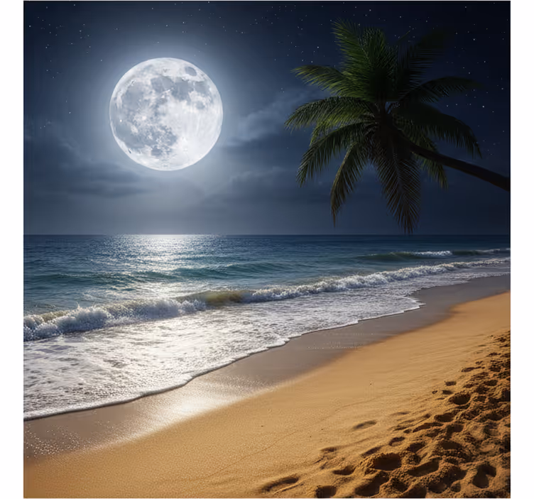 Mural de mar luna llena en el océano - TenVinilo