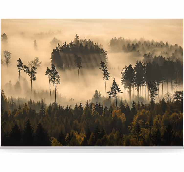 Mural de bosque bruma etérea de la mañana - TenVinilo