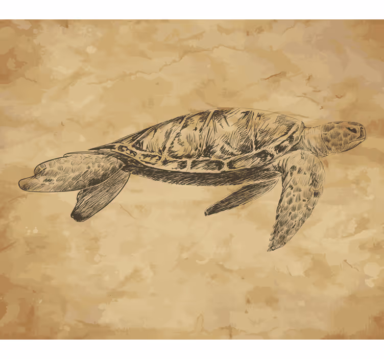 Papel mural beige ilustración de tortuga - TenVinilo