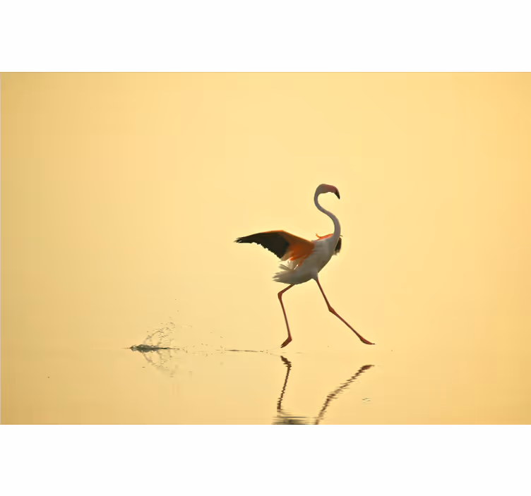 Mural amarillo flamencos corriendo divertidos - TenVinilo