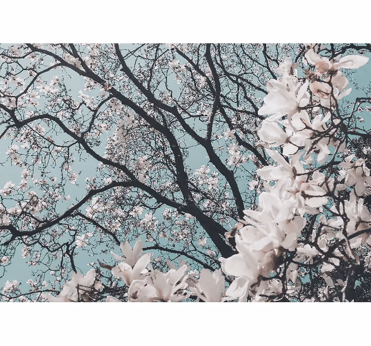 Mural para recibidor estilo elegante flor de cerezo - TenVinilo