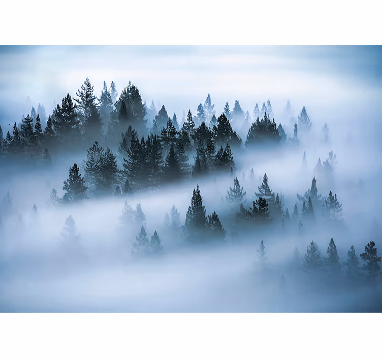 Papel pintado paisaje bosque con niebla - TenVinilo