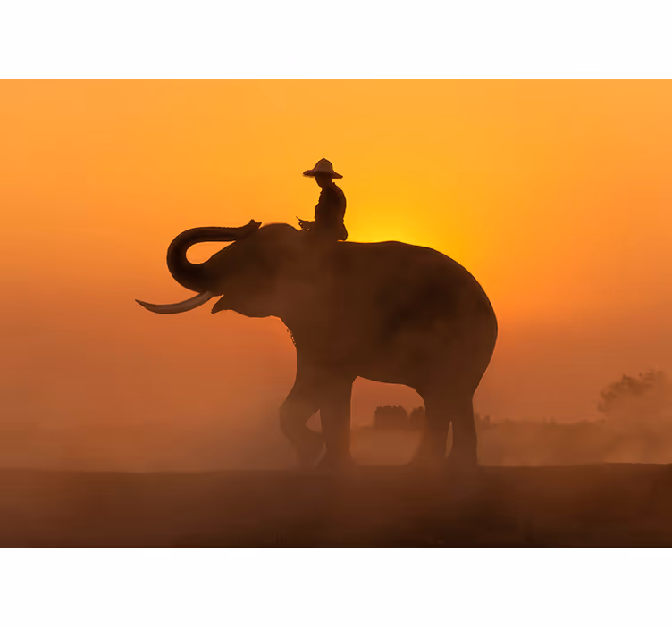 Mural de animales elefante silueta - TenVinilo
