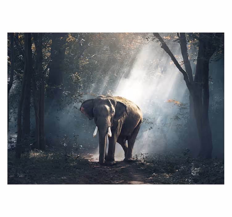 Mural de animales elefante del bosque majestuoso - TenVinilo