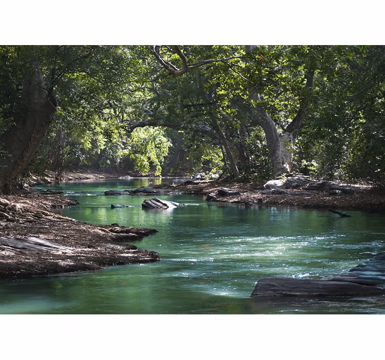 Mural de naturaleza paisaje de río sereno - TenVinilo
