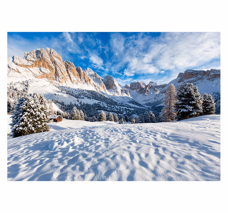 Fotomural paisaje montañas y bosque nevados - TenVinilo