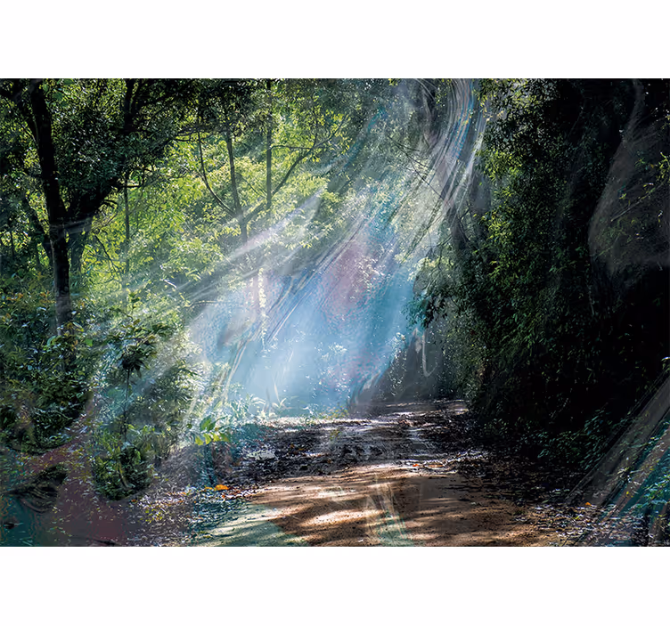 Mural de naturaleza sendero radiante del bosque - TenVinilo