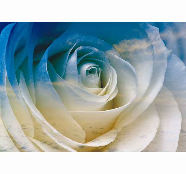 Mural de flores elegancia de rosa en flor - TenVinilo