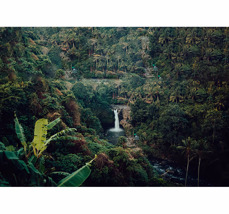 Mural de naturaleza cascada en la selva exuberante - TenVinilo
