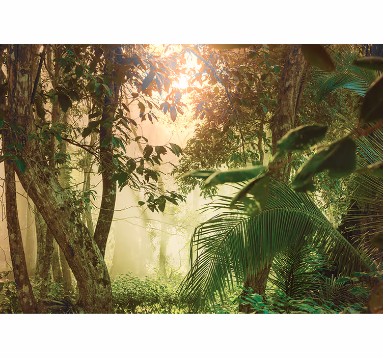 Mural de naturaleza vista del bosque soleado - TenVinilo