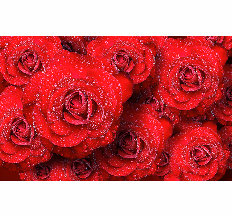 Mural de rosas rojas en flor - TenVinilo