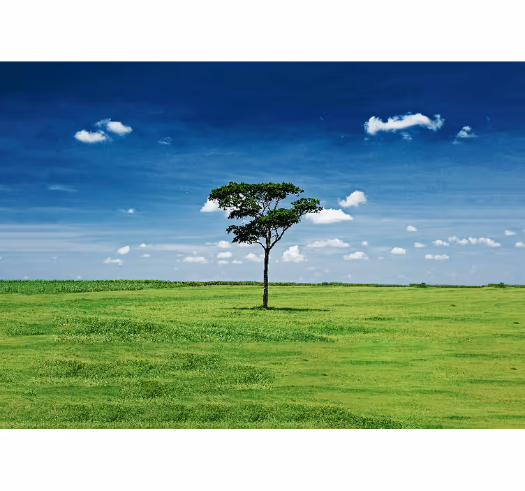 Mural de naturaleza árbol verde solitario - TenVinilo