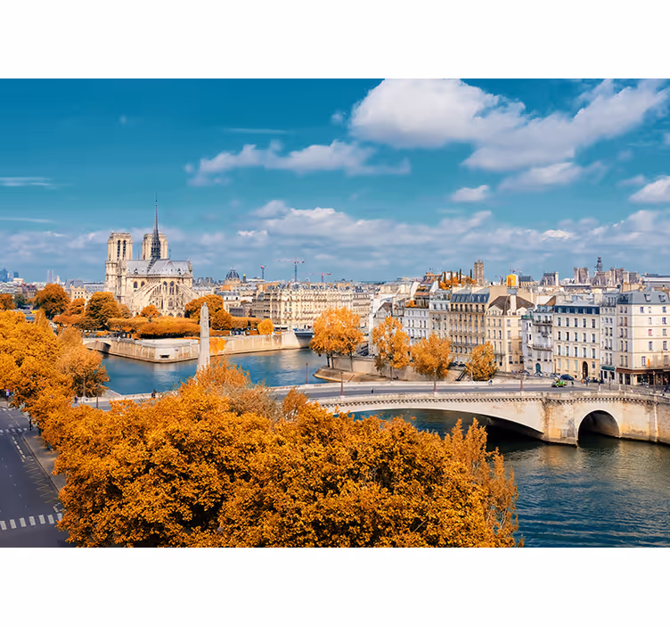 Fotomural de París Notre dame - TenVinilo