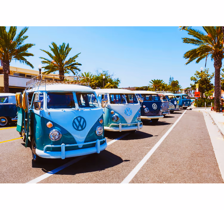 Mural de vehículos furgonetas volkswagen clásicas - TenVinilo
