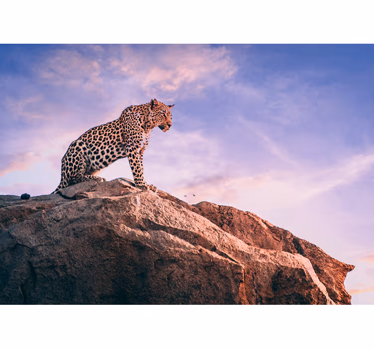 Mural de animales leopardo en la roca - TenVinilo