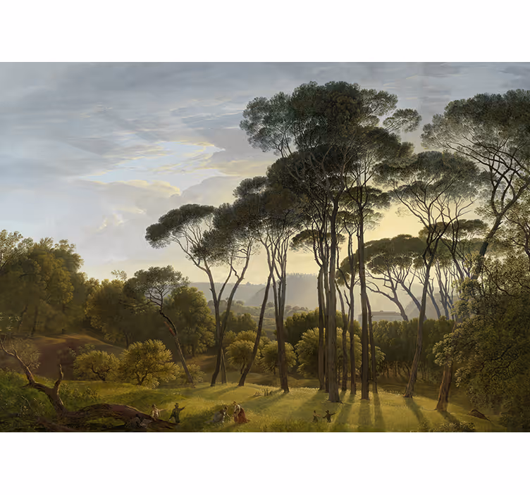Mural de naturaleza rayos de sol del bosque - TenVinilo