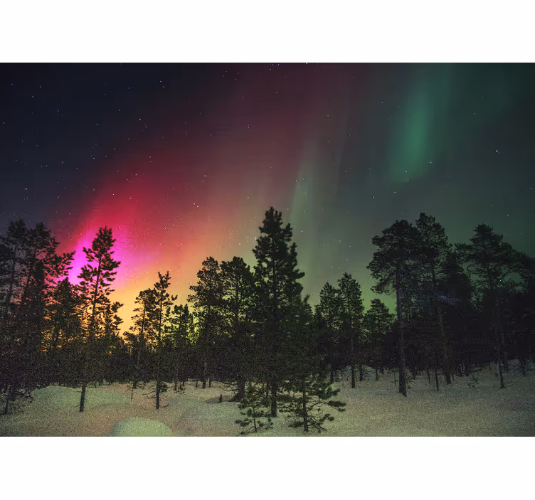 Mural de naturaleza exhibición de auroras boreales - TenVinilo
