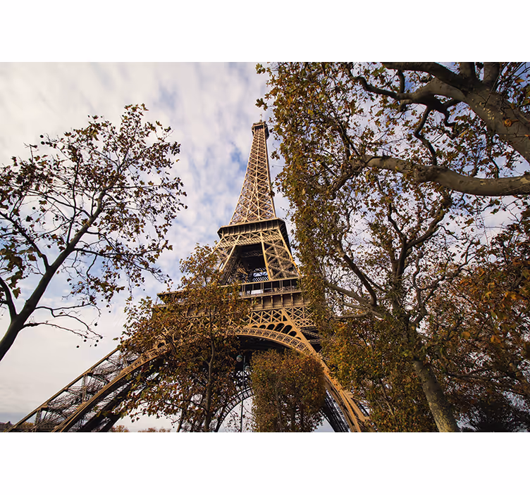 Mural de parís perspectiva escénica de la torre eiffel - TenVinilo