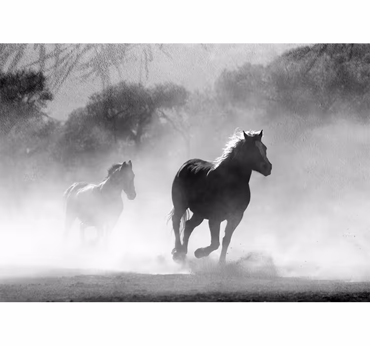 Mural de animales dos caballos corriendo - TenVinilo