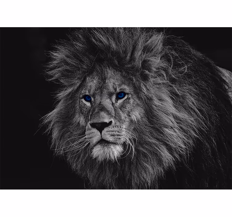 Mural de leones ilustración del león real - TenVinilo
