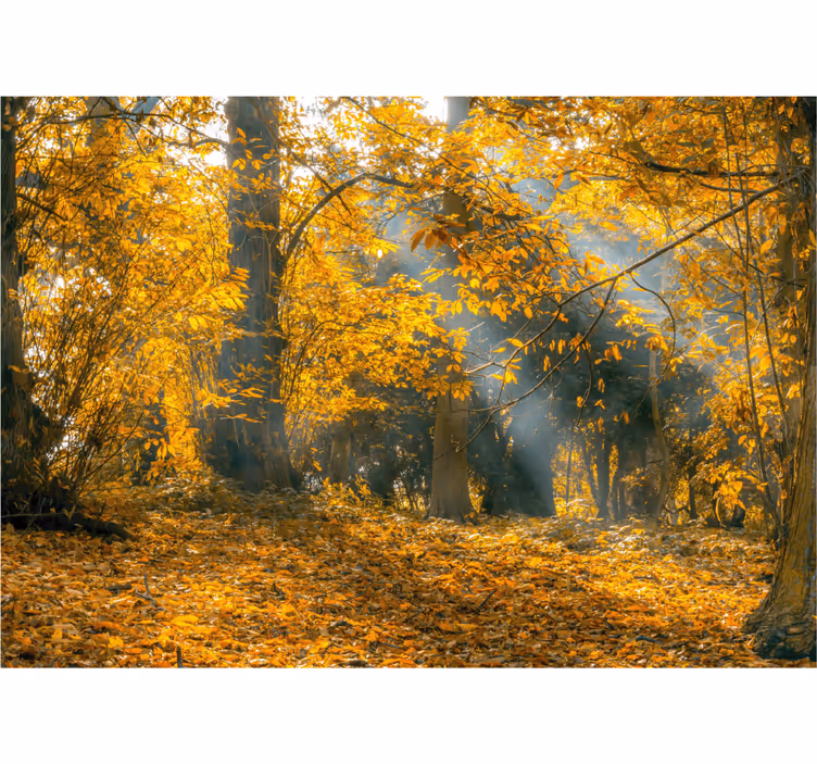 Mural de naturaleza Árboles dorados de otoño - TenVinilo