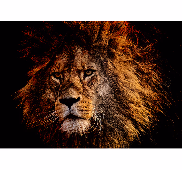 Mural de leones presencia del león majestuoso - TenVinilo