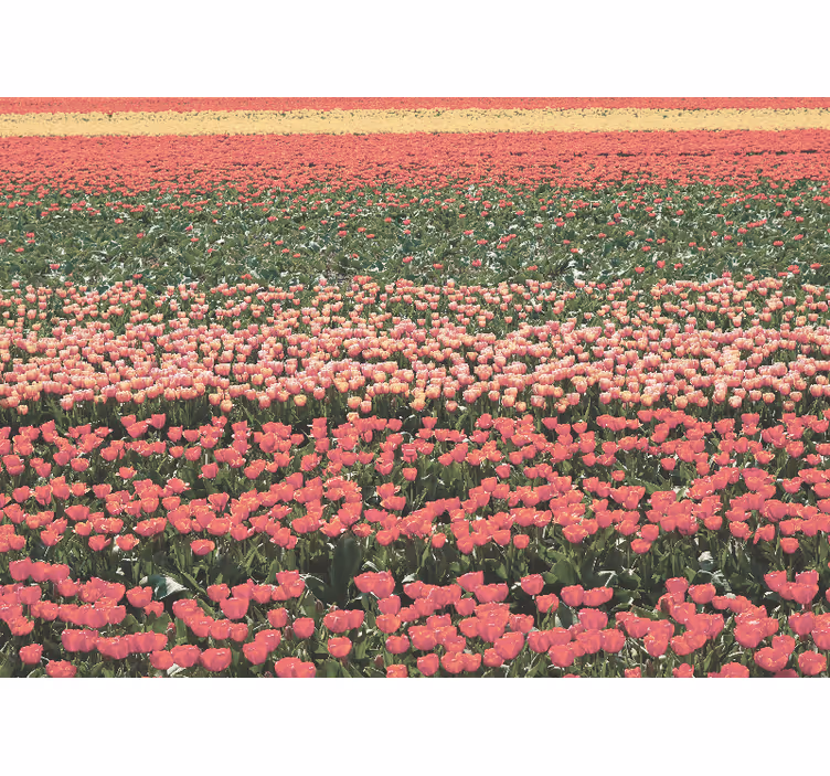 Mural de flores paisaje de campo de tulipanes - TenVinilo