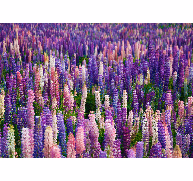Mural de flores flores moradas exuberantes - TenVinilo