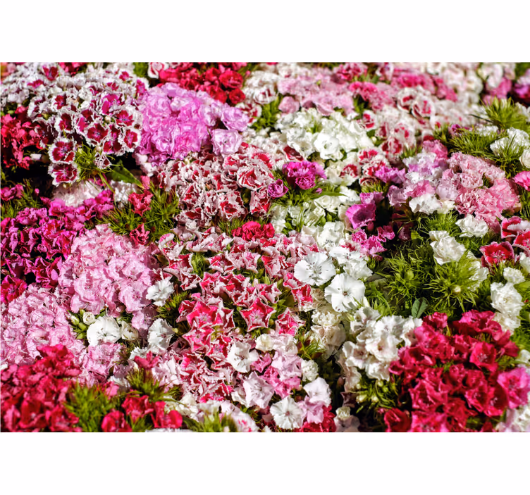 Mural de flores jardín floral vibrante - TenVinilo