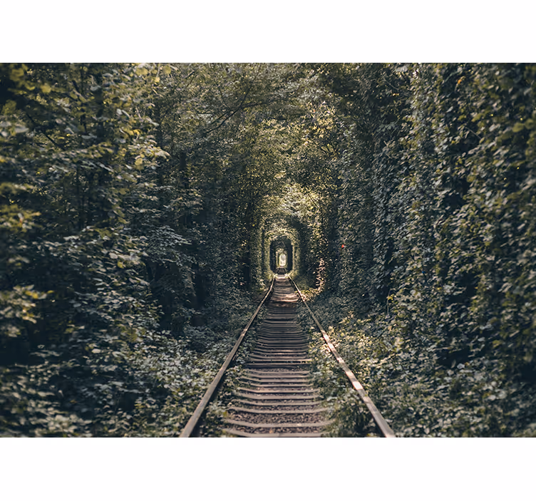 Mural de paisajes túnel de ferrocarril natural - TenVinilo