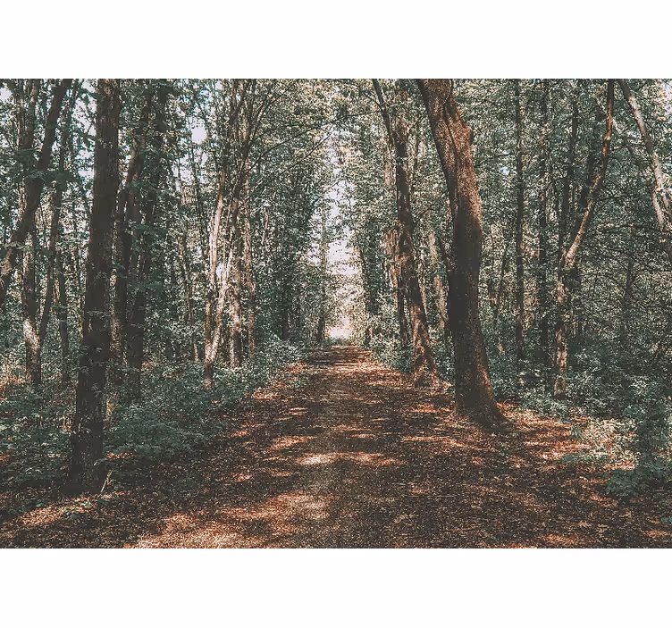 Mural para salón Foto de bosque verde y marrón - TenVinilo