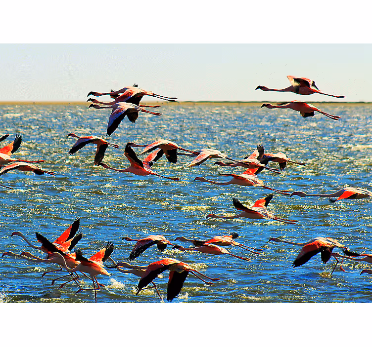 Mural de animales grupo de flamencos voladores - TenVinilo