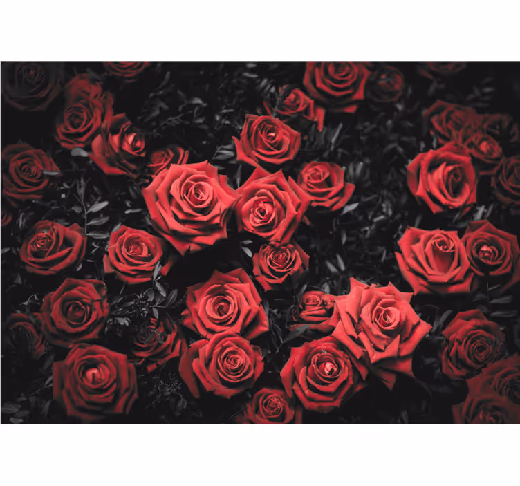 Mural de flores rosa roja floral - TenVinilo