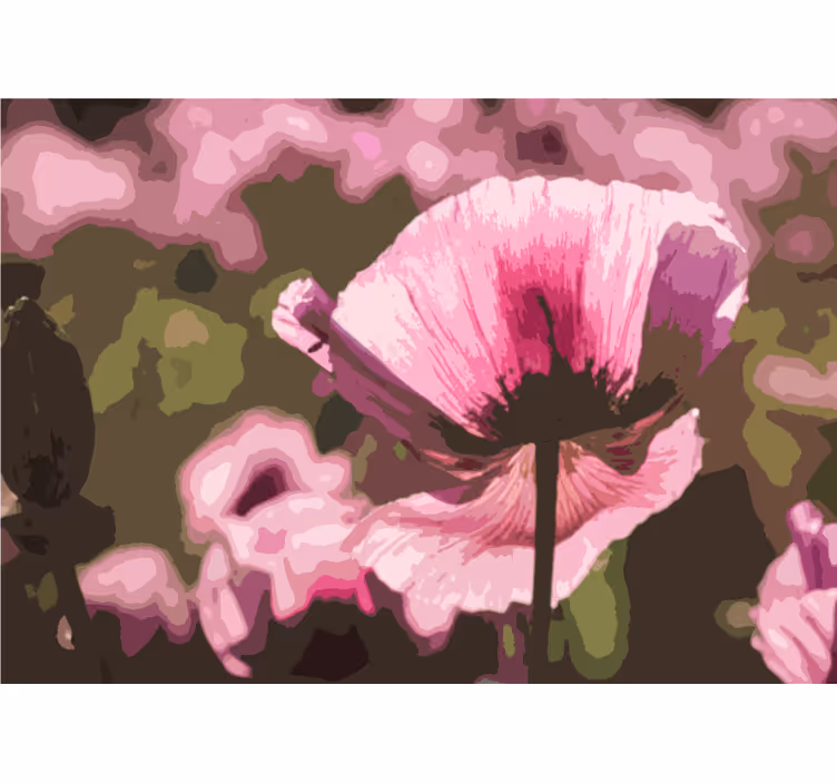 Mural amapolas floración de amapolas rosas - TenVinilo